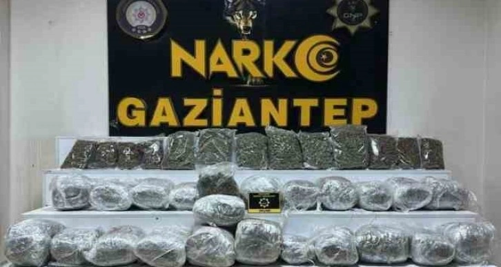 Gaziantep’te 28 kilo 400 gram skunk ele geçirildi