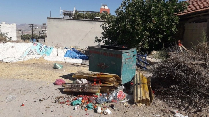 Gaziantep'te içler acısı olay! Çöp konteyneri yanında bebek cesedi bulundu