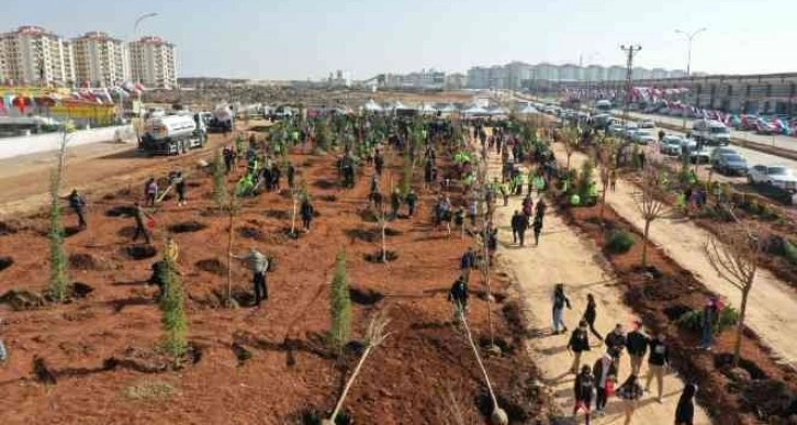 Gaziantep’te şehit isimleri ağaçlarda yaşatılacak