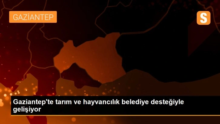 Gaziantep'te tarım ve hayvancılık belediye desteğiyle gelişiyor