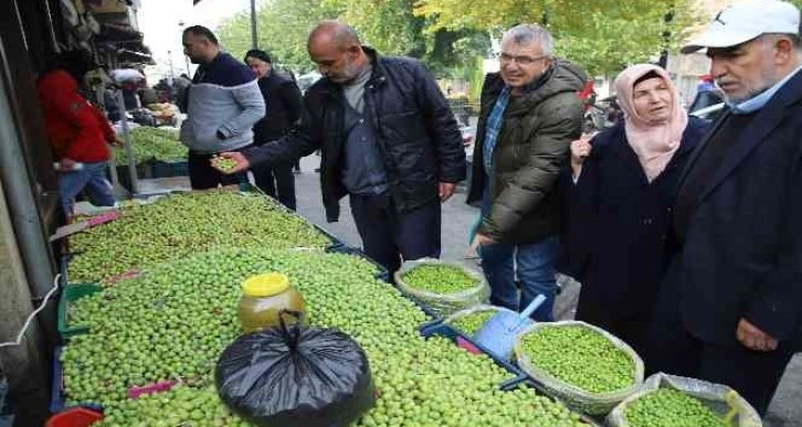 Gaziantep’te yeşil zeytin tezgaha indi