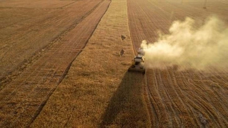 Geçen yıl 12 milyar dolarlık hububat ve bakliyat ihracatı yapıldı