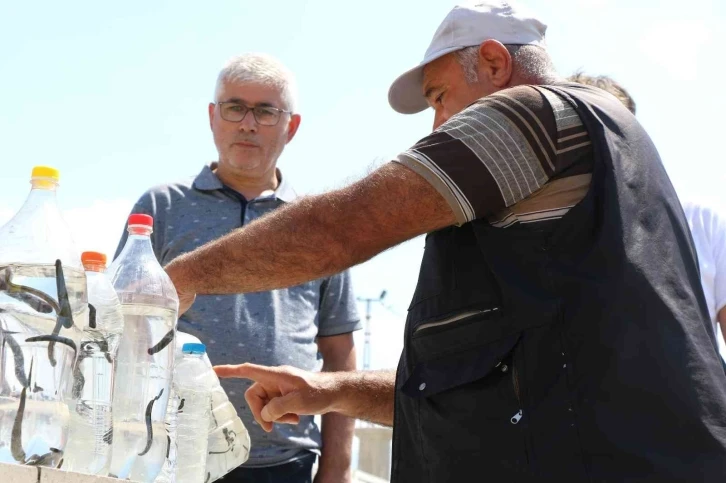 Geçimlerini 35 yıldır sülük satarak sağlıyorlar
