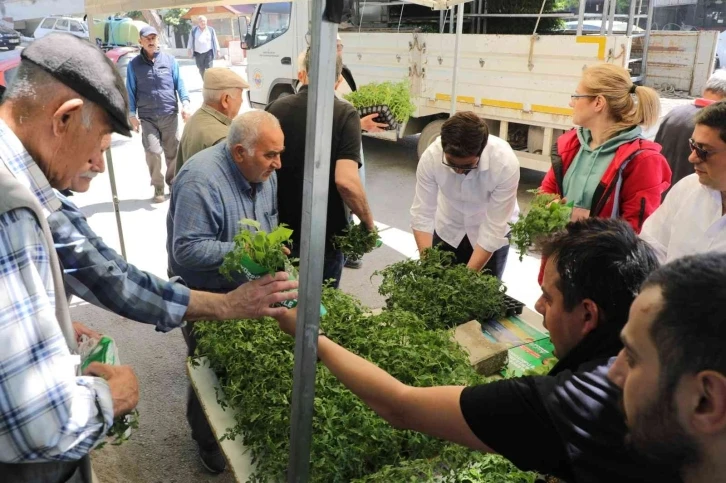 Gemlik’te ücretsiz fide dağıtımı başladı
