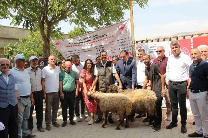 Genç çiftçiler devletten aldıkları destekle küçükbaş hayvan sahibi oldu
