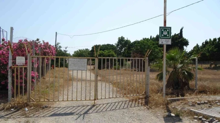 Gençler saha bulamazken terk edilen stadı kurumuş ot ve dikenler kapladı
