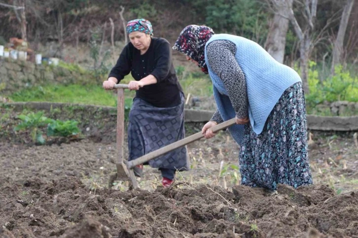 Gençlerin Köy Hayatından Uzaklaşması Tarımı Tehlikeye Atıyor