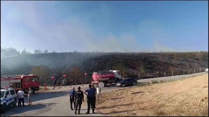 Gençlerin tehlikeli oyunu ormanı yakacaktı
