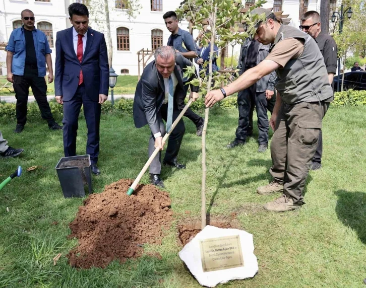 Gençlik ve Spor Bakanı  Osman Aşkın Bak, kendi adına hazırlanan çınar ağacı fidesi toprakla buluşturdu
