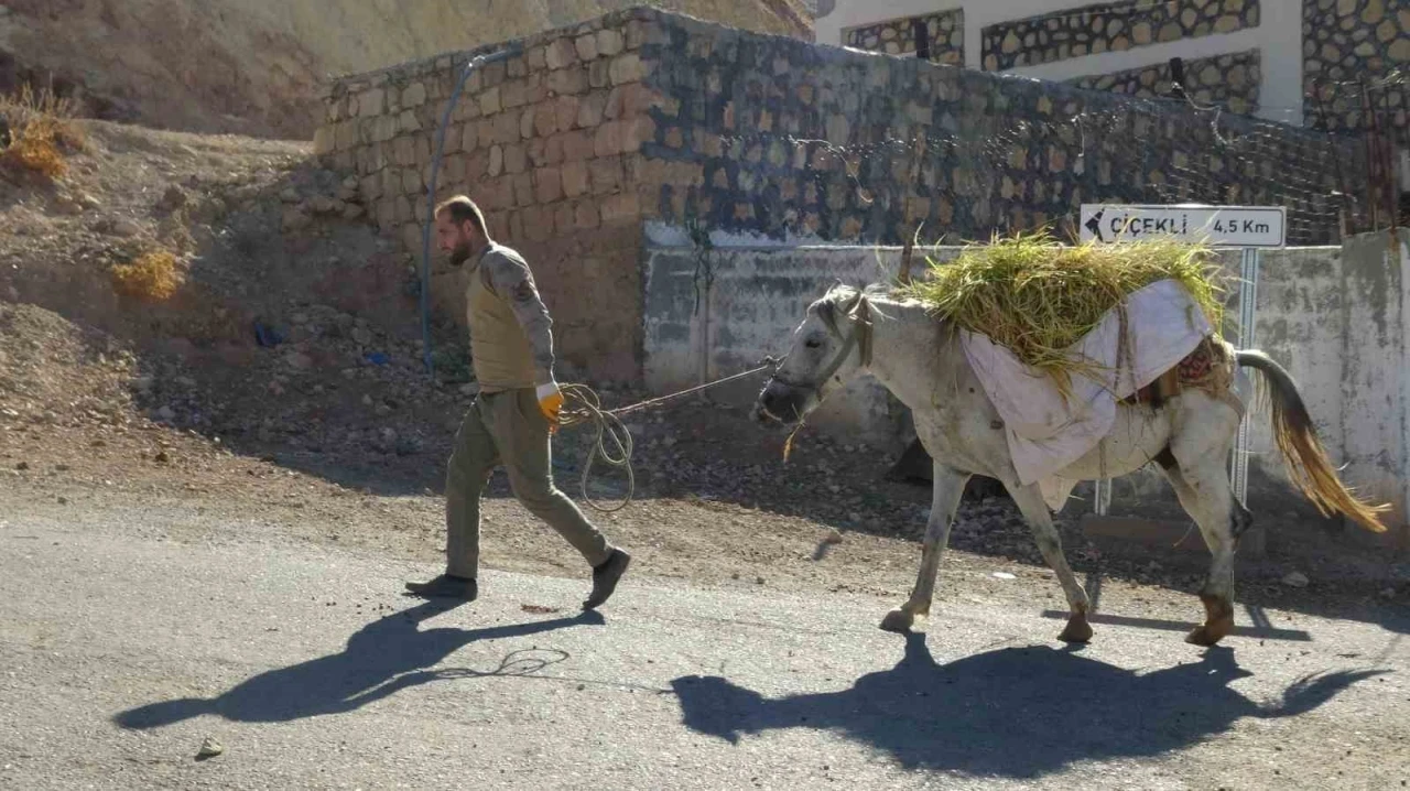 Gercüş’te imece usulü orakla pirinç hasadı
