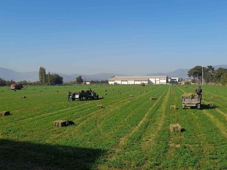 Germencik Belediyesi’nden çiftçiye can suyu
