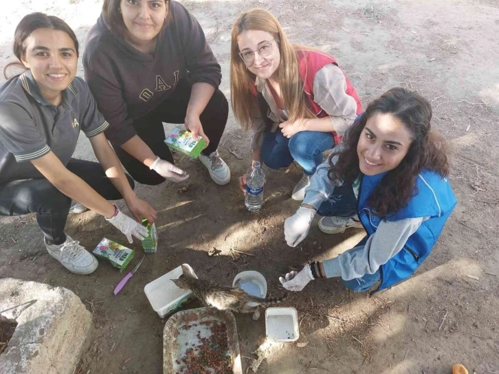 Germencikli gençler sokak hayvanlarını unutmadı
