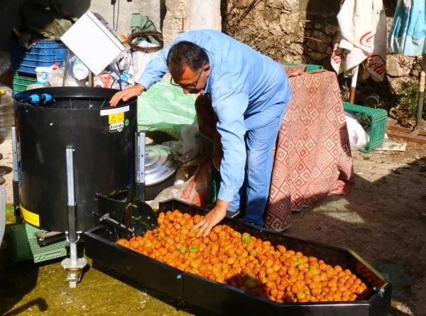 Geyikbayırlılara ceviz ayıklama ve salça makinesi