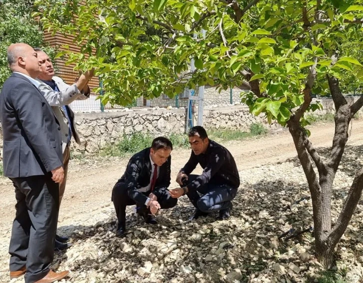 Gölbaşı ilçesinde tarım arazileri ve bahçelerde incelemelerde bulundu
