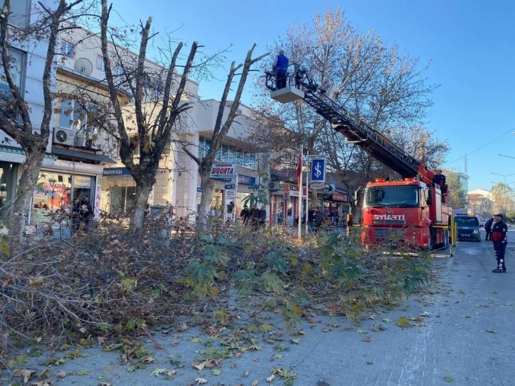 Gölbaşı’nda ağaçlar budanıyor
