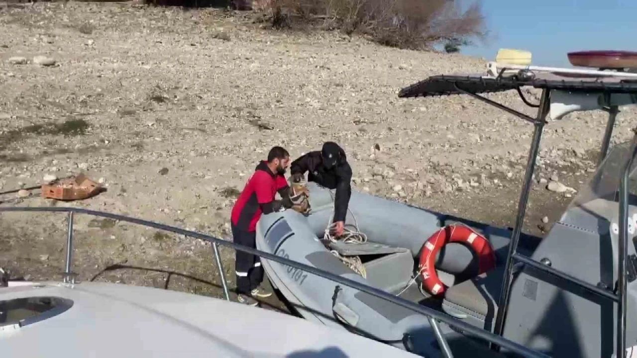 Gölde su yükseldi, mahsur kalan yavru köpekleri polis kurtardı
