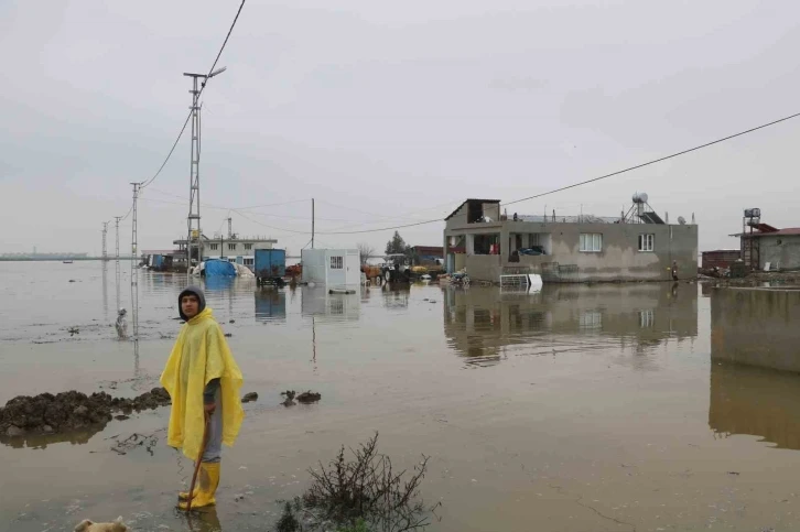 Göle dönen Amik Ovası’nda evler ve ahırlar su içerisinde kaldı
