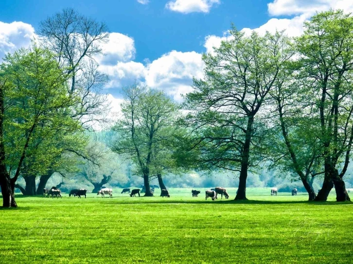 Gölyaka Kültür Park, ziyaretçilerini bekliyor
