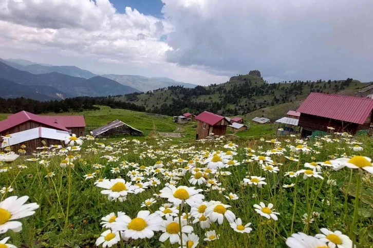 Gümüşhaneli doğaseverler Altınpınar Gölünde kamp kurdu
