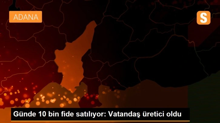 Günde 10 bin fide satılıyor: Vatandaş üretici oldu