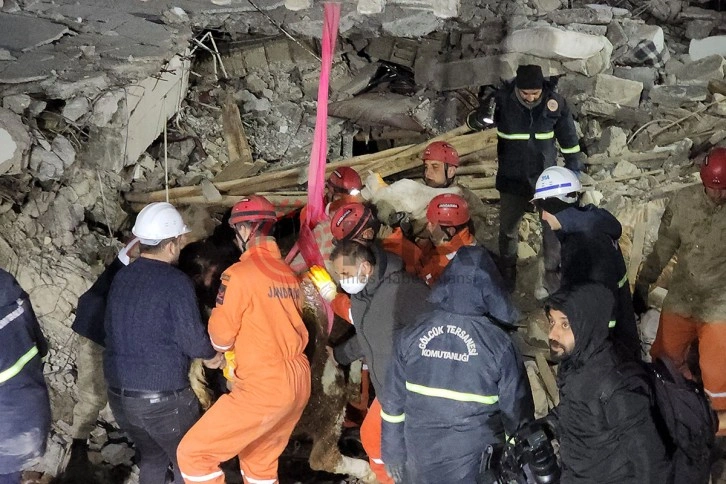 Günlerce enkaz altına sürünerek girip beslediği ineğine 11 gün sonra kavuştu