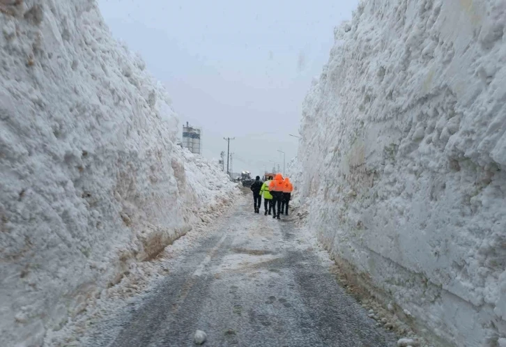 Hakkari-Çukurca kara yolu ulaşıma açıldı
