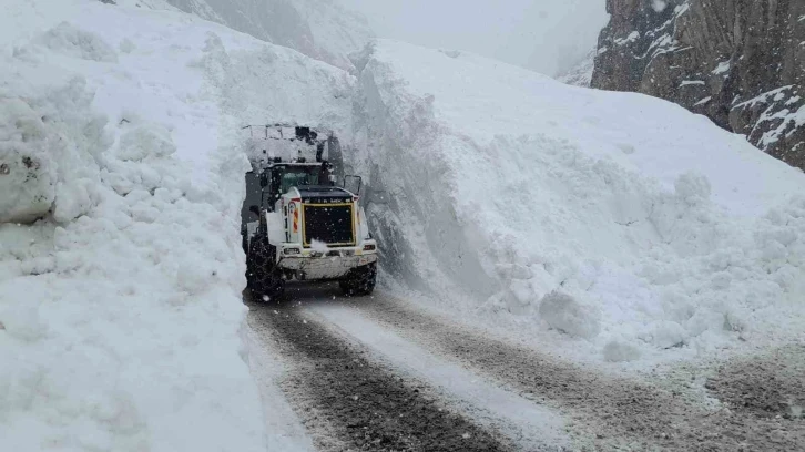 Hakkari’de çığ bölgesindeki çalışmalarda 10 metre yüksekten düşen ekip şefi yaralandı
