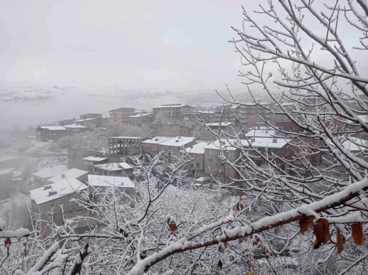 Hakkari’de kar yağışı ve sis
