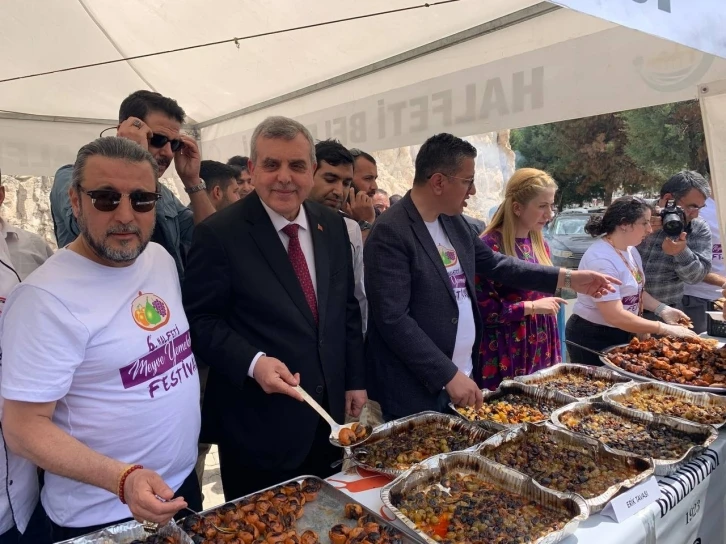 Halfeti’de "Meyve Yemekleri Festivali" düzenleniyor
