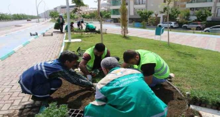 Haliliye’de çiçekler toprakla buluşuyor