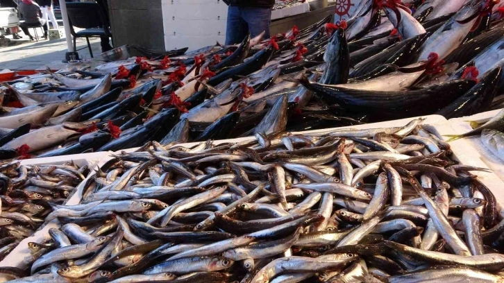 Hamsi ihracatında geçen yıla göre yarı yarıya düşüş
