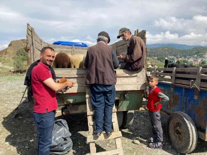 Hanönü’de kurbanlık hayvan pazarı açıldı
