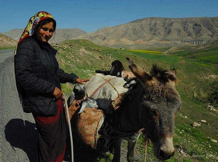 Hasankeyf’te renkli yaşam