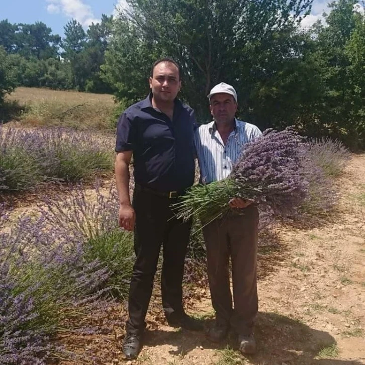 Hasat sonrası 2 ton 900 kilogram lavanta yağı elde edildi
