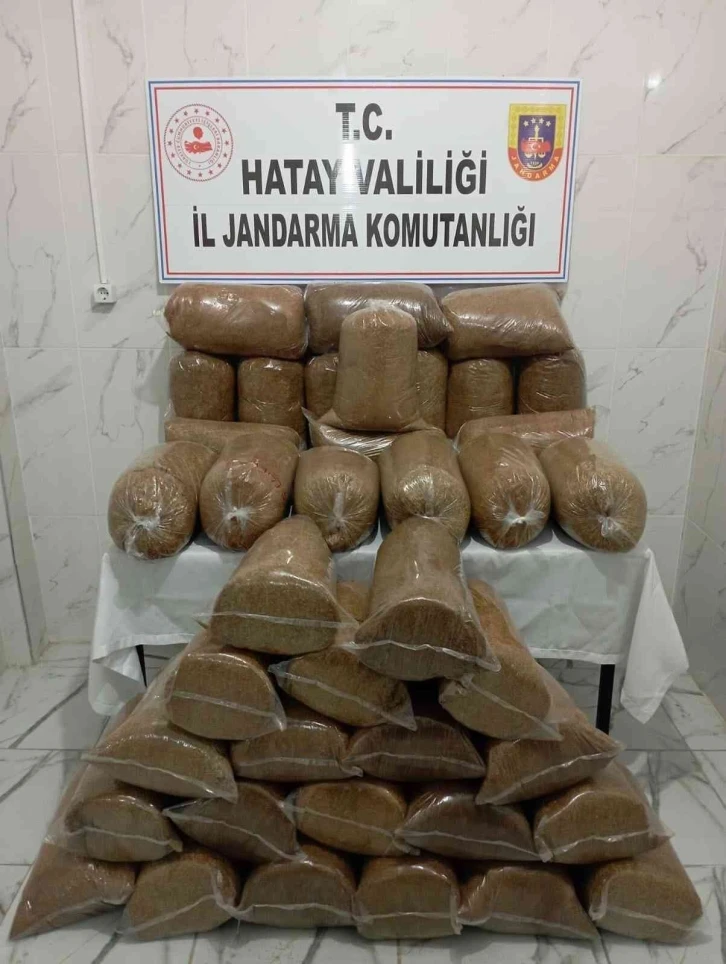 Hassa’da 245 kilo kaçak tütün ele geçirildi
