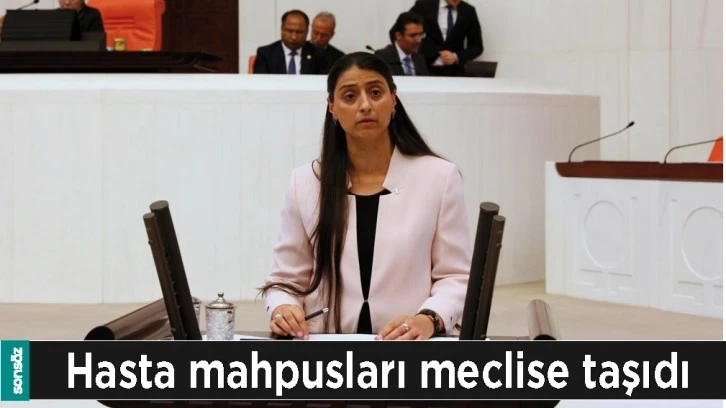 HASTA MAHPUSLARI MECLİSE TAŞIDI