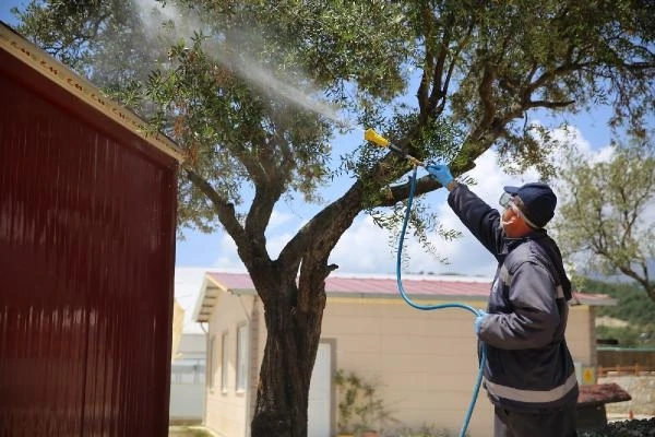 Hatay Büyükşehir Belediyesi'nden, 15 ilçe belediyesine 'haşere ve vektör' çağrısı