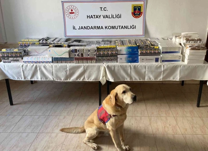 Hatay’da 11 bin 140 paket kaçak sigara ele geçirildi
