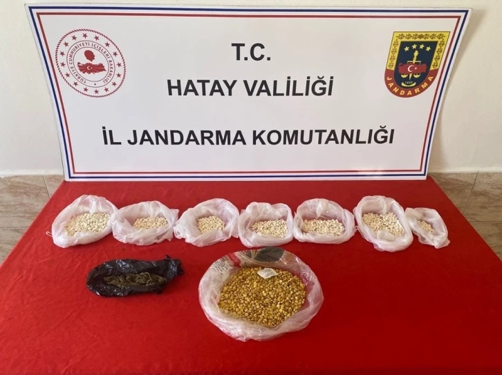 Hatay’da 4 bin 500 adet captagon hap ele geçirildi
