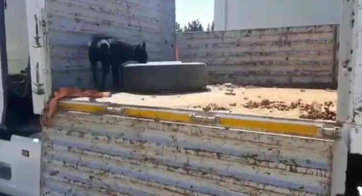 Hatay’da 41 kilo metamfetamin ile 6,4 kilo eroin ele geçirildi
