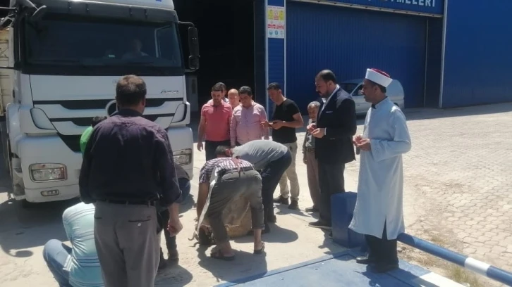 Hatay’da buğday hasadı dualarla başladı
