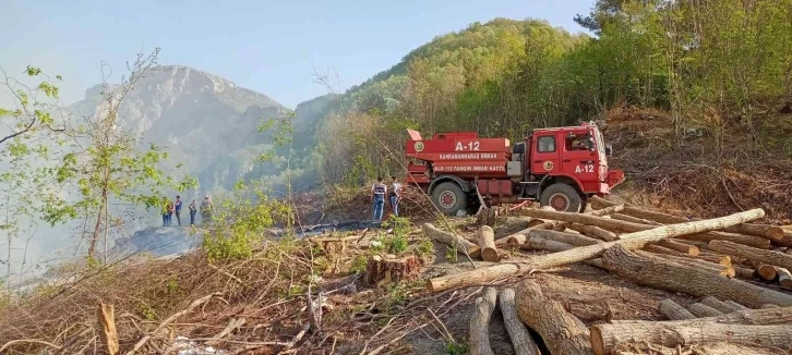 Hatay’da çıkan orman yangını söndürüldü
