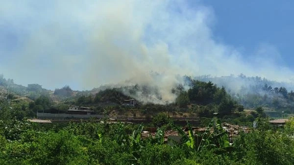 Hatay'da orman yangını (2)