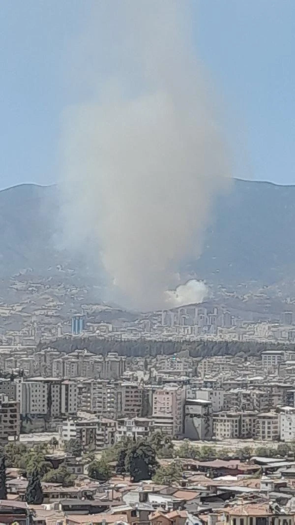 Hatay'da orman yangını