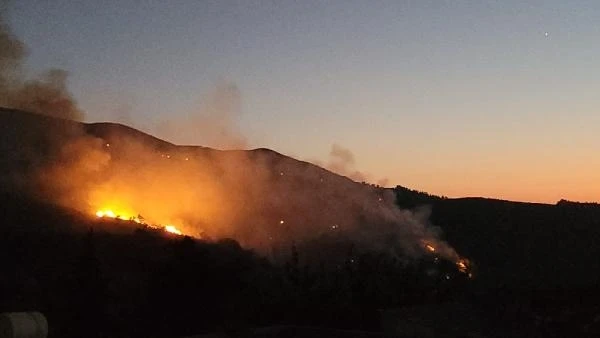 Hatay'da orman yangını (7)