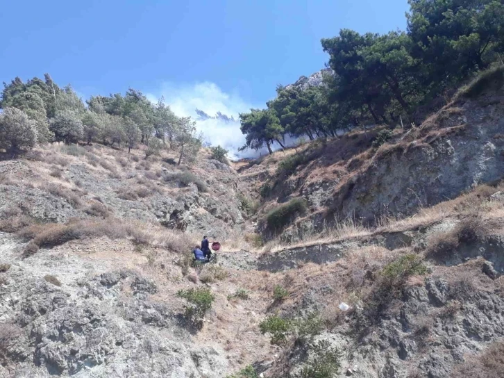 Hatay’da orman yangını
