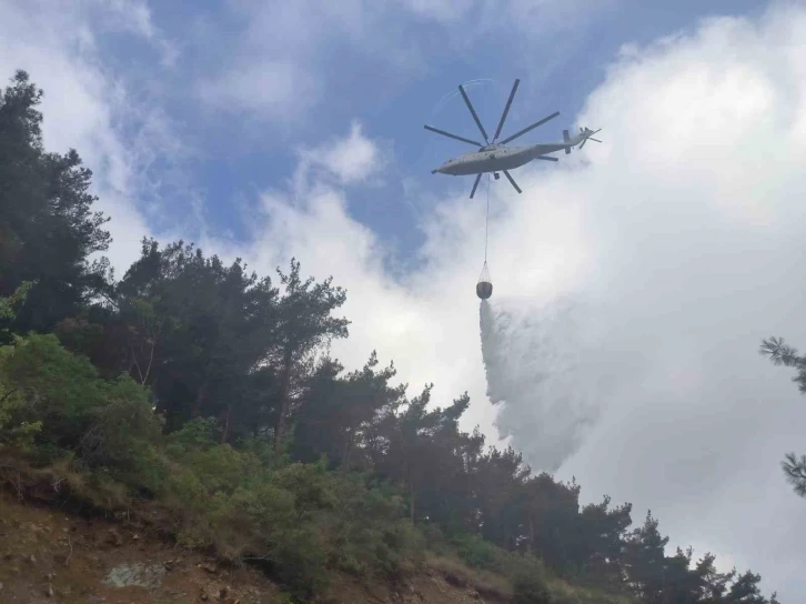 Hatay’da orman yangını
