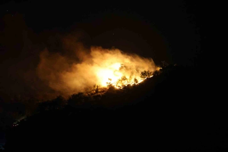 Hatay’da orman yangını
