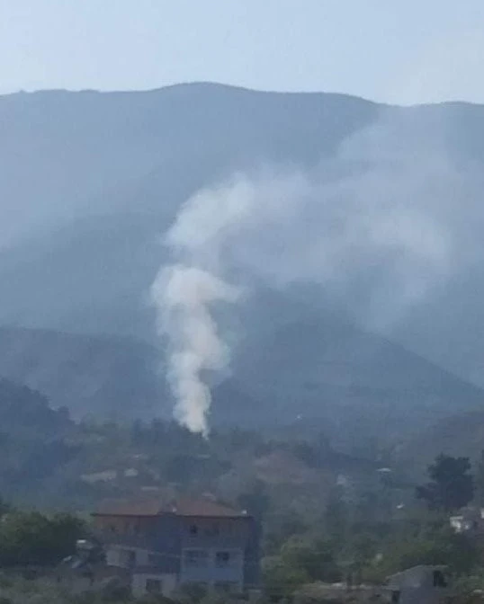 Hatay’da orman yangını kısa sürede söndürüldü
