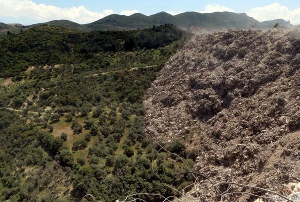 Hatay’da ormana ve zeytinliğe dökülen molozlar ağaçlara zarar veriyor